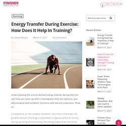 Energy Transfer During Exercise: How Does It Help In Training? - Finisher Magazine