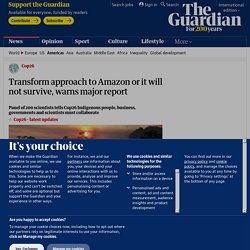 Transform approach to Amazon or it will not survive, warns major report