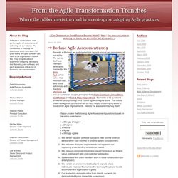 From the Agile Transformation Trenches: Borland Agile Assessment 2009