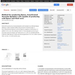 Patent US8334130 - Method for producing lipase, transformed Yarrowia lipolytica cell capable of ... - Google Patents