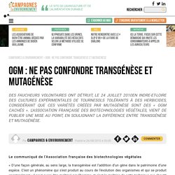 OGM : ne pas confondre transgénèse et mutagénèse