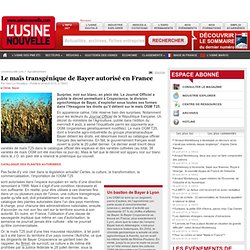 Le maïs transgénique de Bayer autorisé en France - Agroalimentaire
