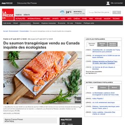 Du saumon transgénique vendu au Canada inquiète des écologistes