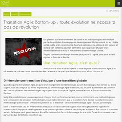 Transition Agile Bottom-up : toute évolution ne nécessite pas de révolution