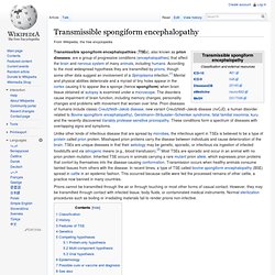Transmissible spongiform encephalopathy