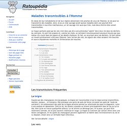 Maladies transmissibles à l'Homme - Ratoupédia, l'encyclopédie du rat domestique