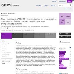 PLOS 21/12/17 Stably expressed APOBEC3H forms a barrier for cross-species transmission of simian immunodeficiency virus of chimpanzee to humans