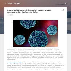 The effect of foot-and-mouth disease (FMD) vaccination on virus transmission and the significance for the field