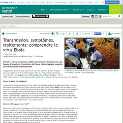 Transmission, symptômes, traitements: comprendre le virus Ebola