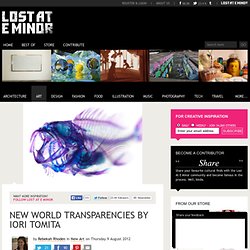 New World Transparencies by Iori Tomita