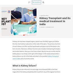 Kidney Transplant and its medical treatment in India – metromag.com