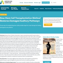 New Stem Cell Transplantation Method Restores Damaged Auditory Pathways
