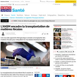 L'ANSM encadre la transplantation de matières fécales - 21 mars 2014