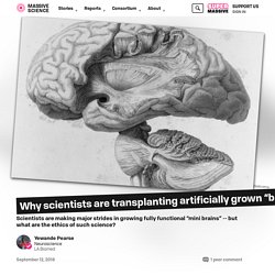 Why scientists are transplanting artificially grown “brains” into living brains