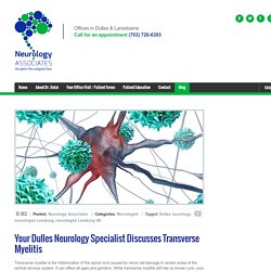 A Guide to Transverse Myelitis by Your Dulles Neurology Expert