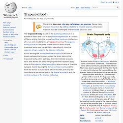 Trapezoid body