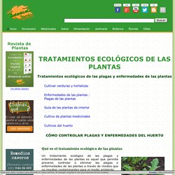 Tratamientos ecológicos de las plagas y enfermedades de las plantas