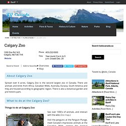 Calgary Zoo 