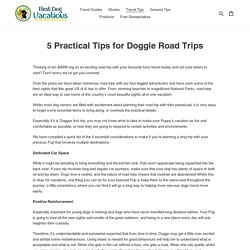 Doggie Road Trips – bestdogvacations