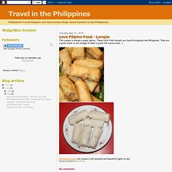 Love Filipino Food - Lumpia