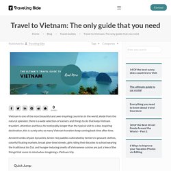 Travel To Vietnam: The Only Guide That You Need