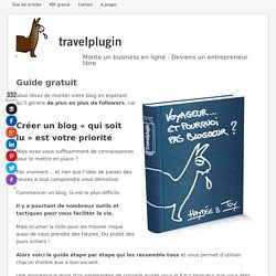 Wordpress - Guide gratuit Travelplugin