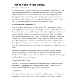 Treating Noise Phobia in Dogs