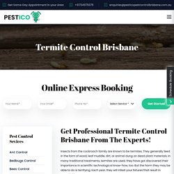 Hire Professional Termite Control across Brisbane.