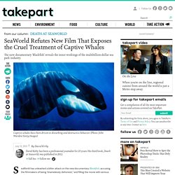 Killer Whales Cruel Treatment in Captivity