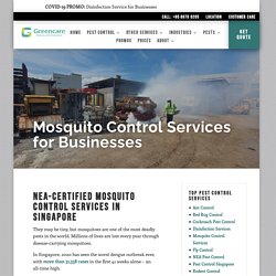 Mosquito Pest Control Singapore – Greencare