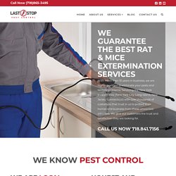 Rats & Mice Treatment Services