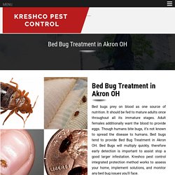 Bed Bug Treatment in Akron OH