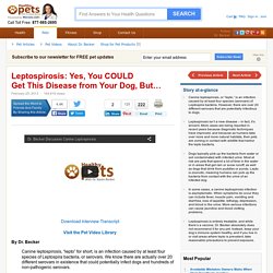 Symptoms and Treatment of Leptospirosis