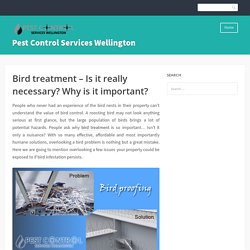 Bird treatment – Is it really necessary? Why is it important?