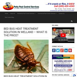 BED BUG HEAT TREATMENT SOLUTION IN WELLAND - WHAT IS THE PRICE?