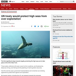 UN treaty would protect high seas from over exploitation