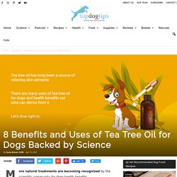 Tea Tree Oil for Dogs: 8 Benefits and Uses Backed by Science