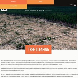 Tree-clearing - WWF-Australia