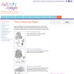 Tree Colouring Pages - Färglägg träd