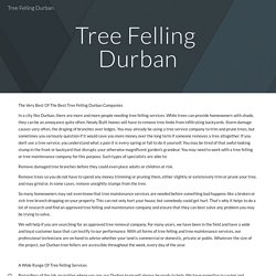 Tree Felling Durban