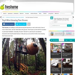Tree Houses : The 8 Most Amazing Tree Houses Ever