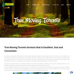 Tree Moving in Toronto
