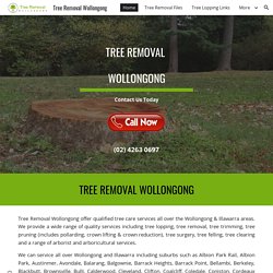 Tree Removal Wollongong