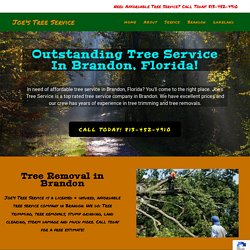Tree Service Brandon - Tree Removal Brandon- Joe's Tree Service
