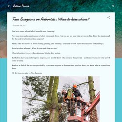 Tree Surgeons or Arborists: When to hire whom?
