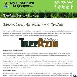 TreeAzin Service Provider