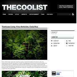 Treehouse Living: Finca Bellavista, Costa Rica