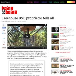Treehouse B&B proprietor tells all
