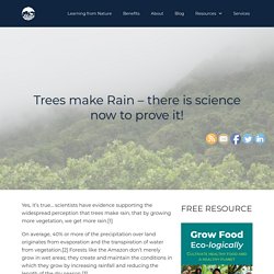 How trees make rain - Learning from Nature
