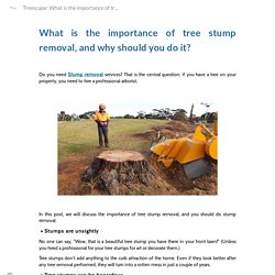 What is the importance of tree stump removal, and why should you do it?
